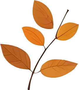 rendy Foliage Design, Leaf PNG Download, Tropical different type exotic leaves set.webp